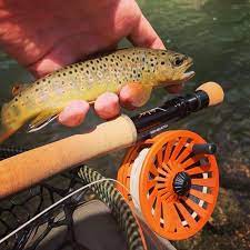 Redington Behemoth