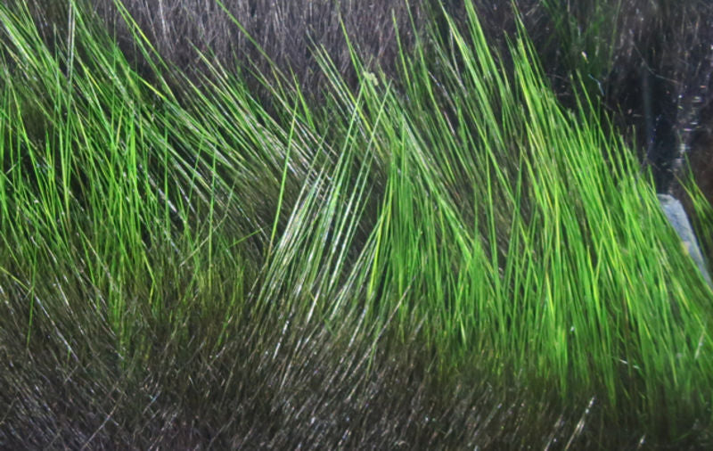 Hareline Frostip Rabbit Strips