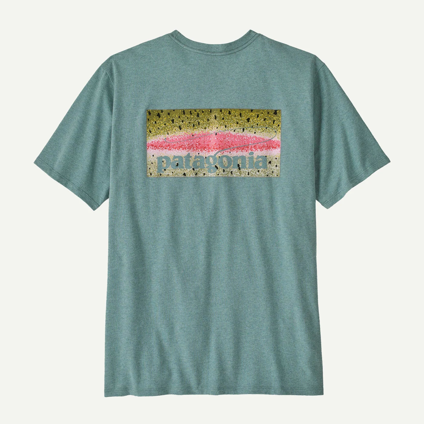 Patagonia Take A Stand Responsibility ￼Rainbow Run Sage Blue Tee Shirt