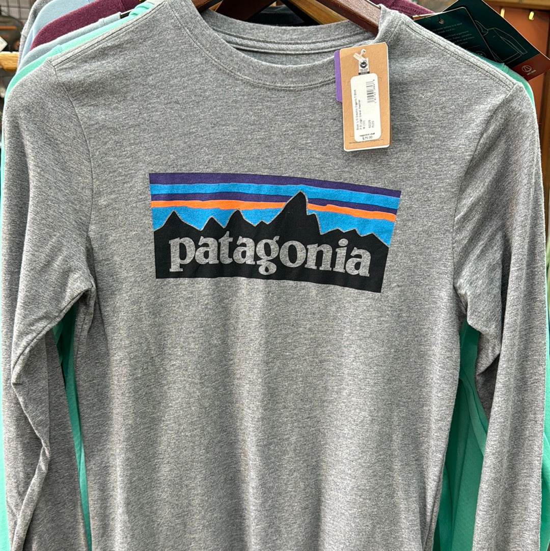 Patagonia shirt