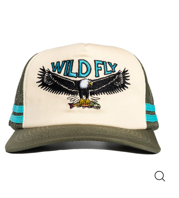 Wild fly Eagle