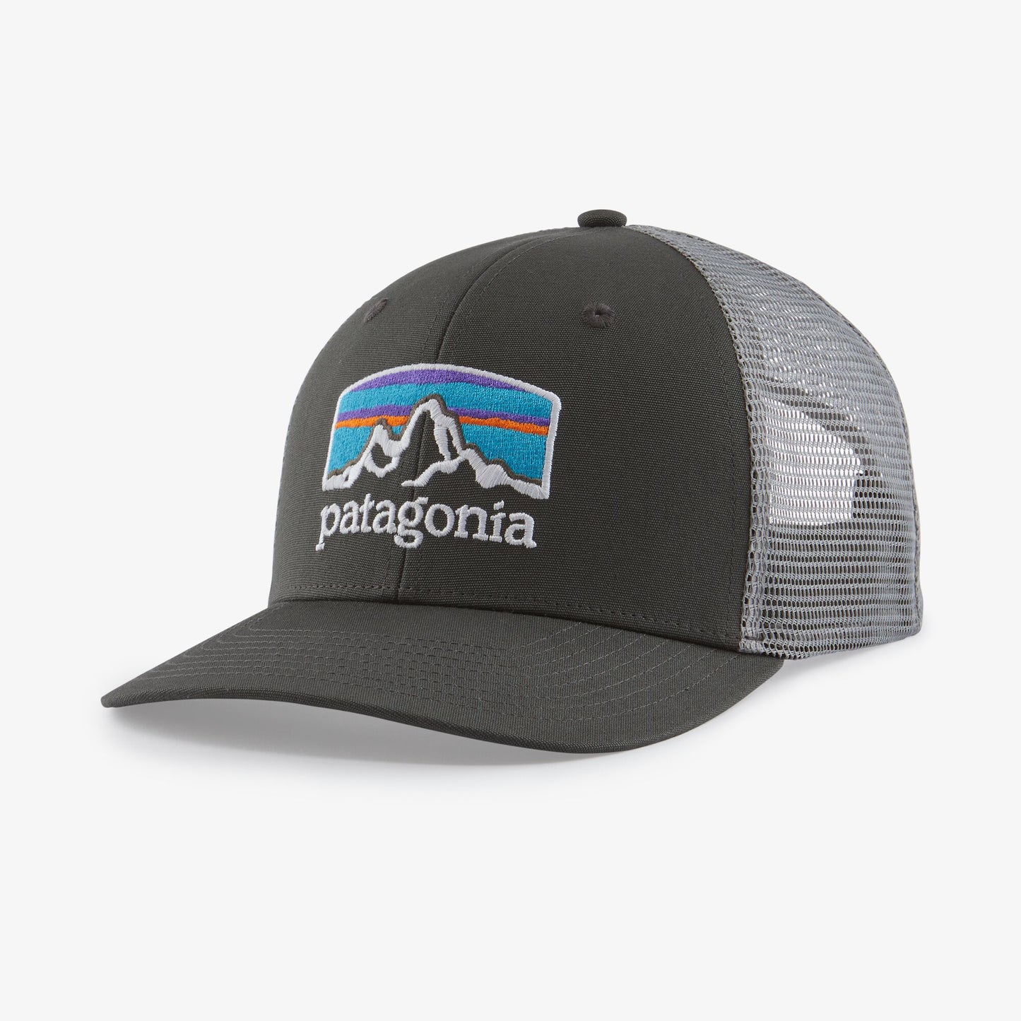 Patagonia fitz Roy Horizon Trucker