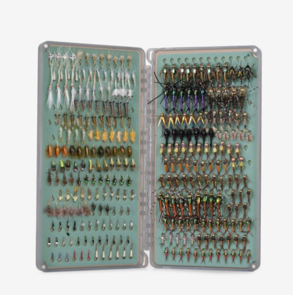 Fishpond Original 2x