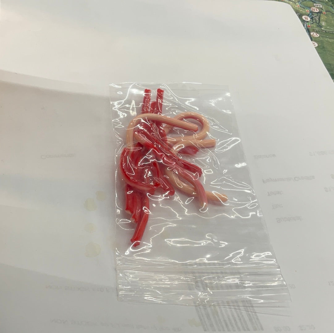 Power Bait Type Eggs and Worms
