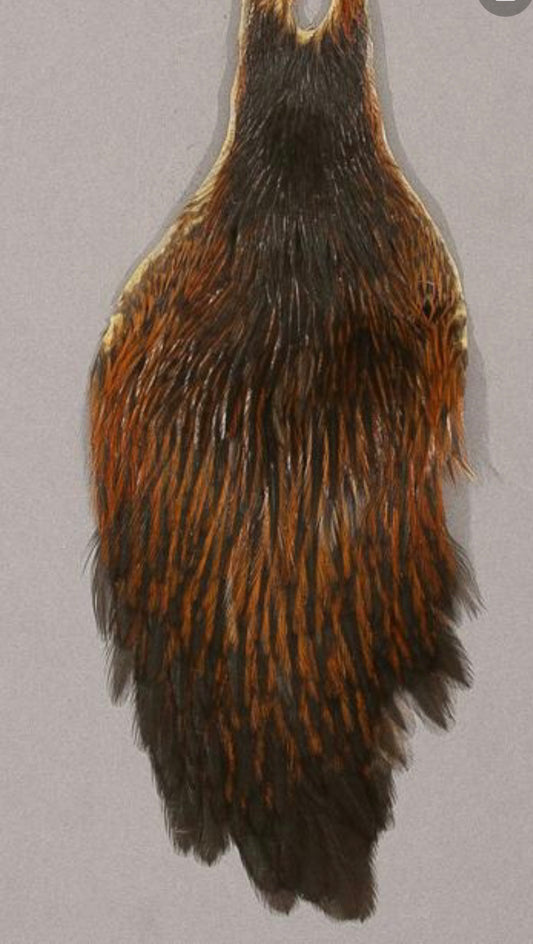 Metz hen neck grade 1