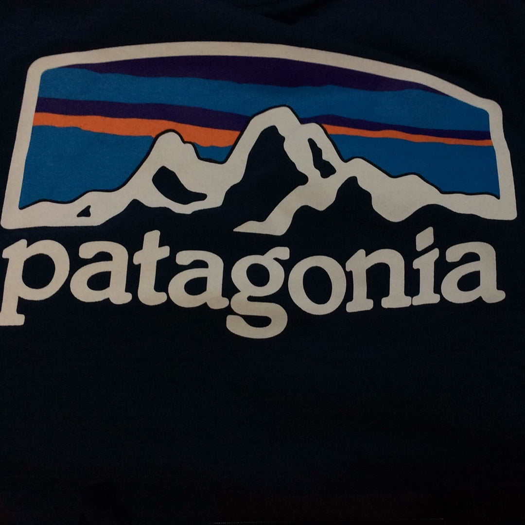 Patagonia Fitz Roy Horizon